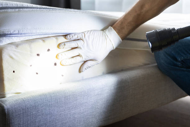 Best Pest Inspection Near Me  in Colonia, NJ