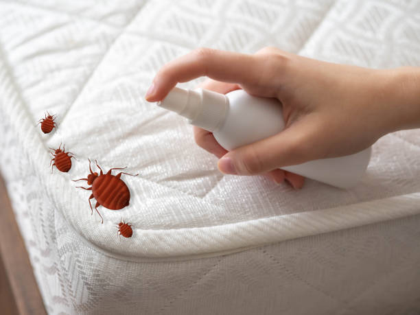 Pest Prevention Services in Colonia, NJ