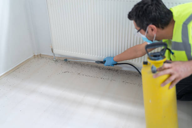 Best Best Pest Control Near Me  in Colonia, NJ